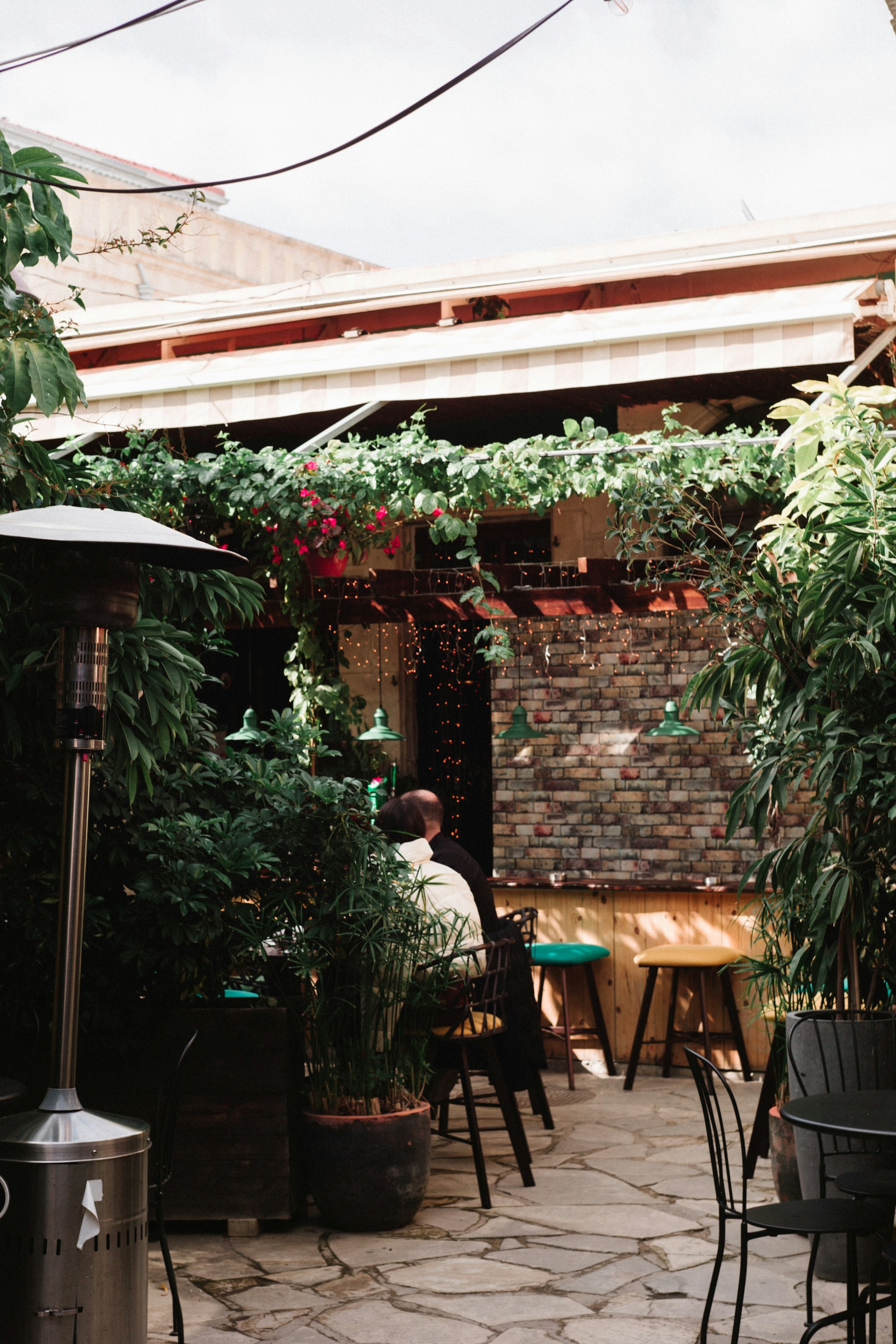 Sfeer van op het terras met veel groene planten en lichtinval.