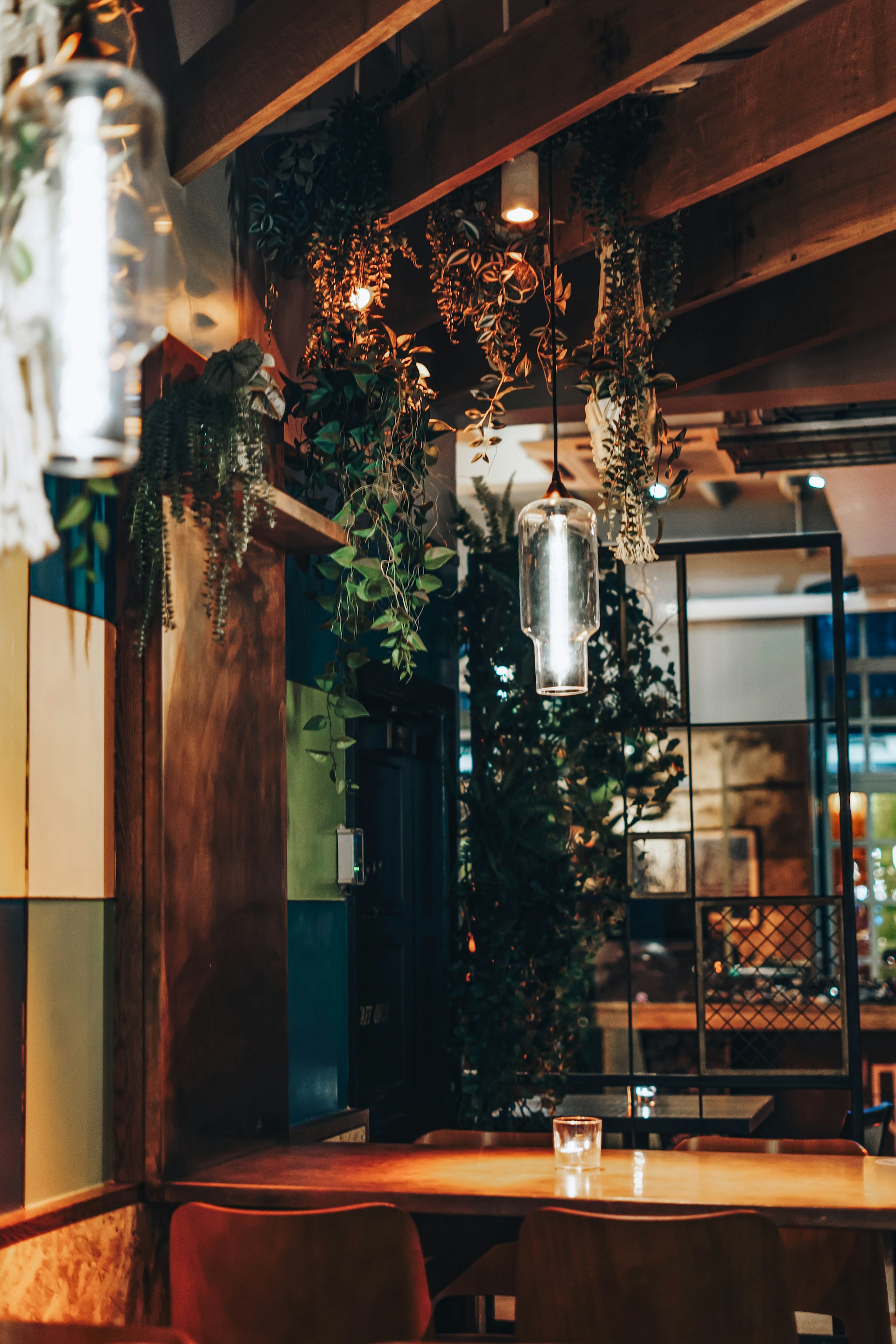 Interieurfoto met licht, planten en tafels.